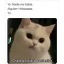 ස්ටිකර්